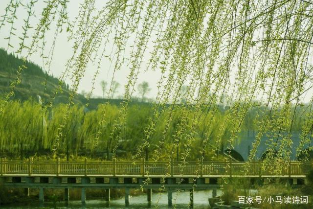 小浅🎤V娱热点