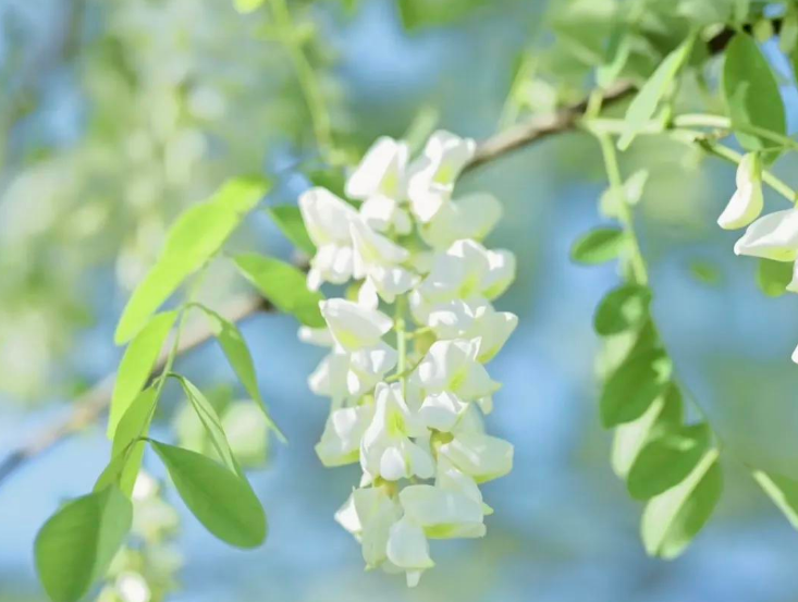 小浅🎤V娱热点