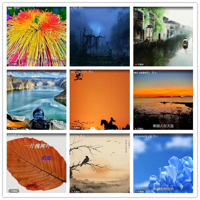 九小九324🎤V娱热点