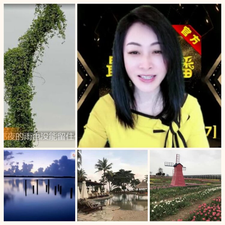 落雪🎤V娱热点