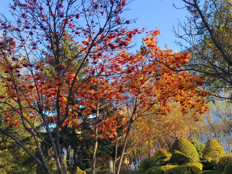 雪儿🎤V娱热点