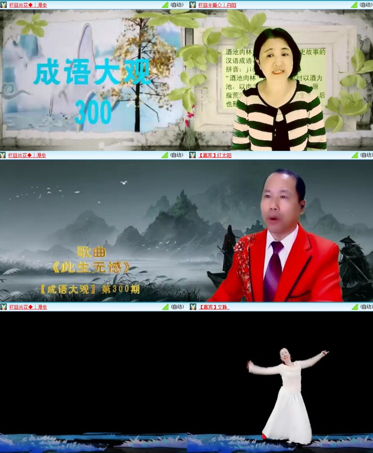 无言🎤V娱热点