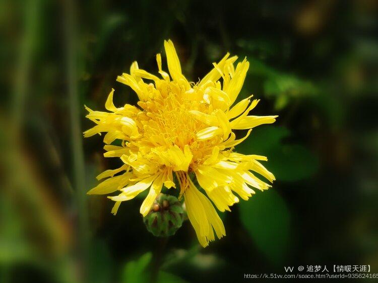 追梦人【情暖天涯】