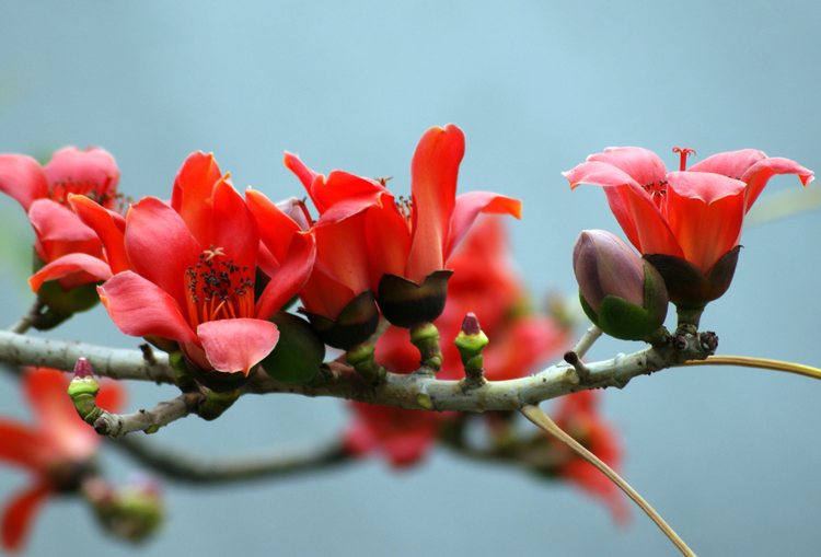 曾经🎤V娱热点