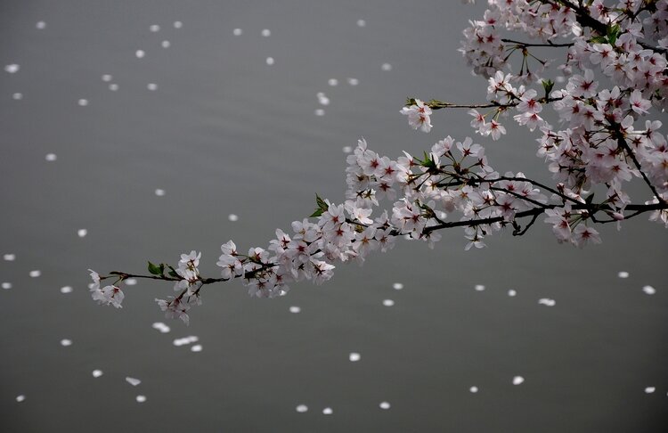 曾经🎤V娱热点