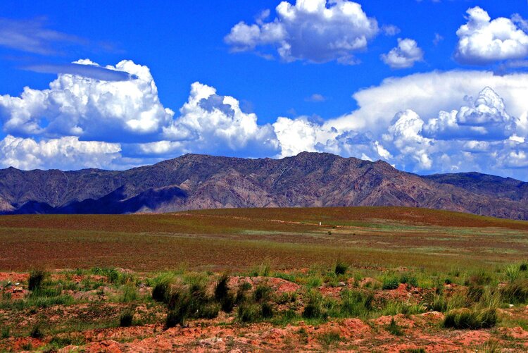 5945(李宏伟)【美摄视界】:准噶尔盆地 - vv