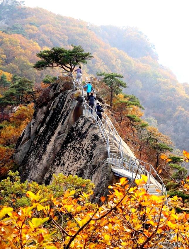 张国政(爱国军旅文坛):【首发】重游丹东凤凰山 - vv