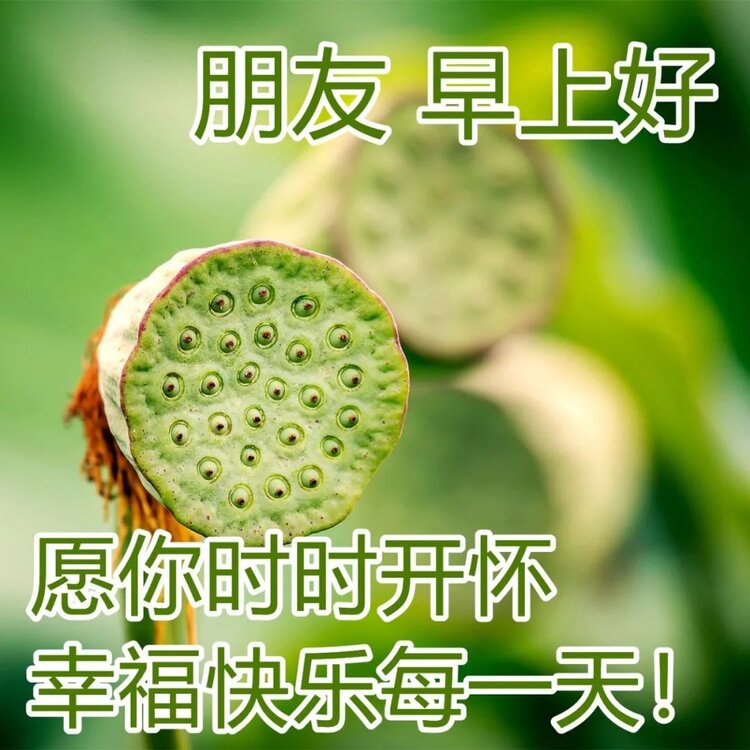 原创天地红尘家族 -红尘