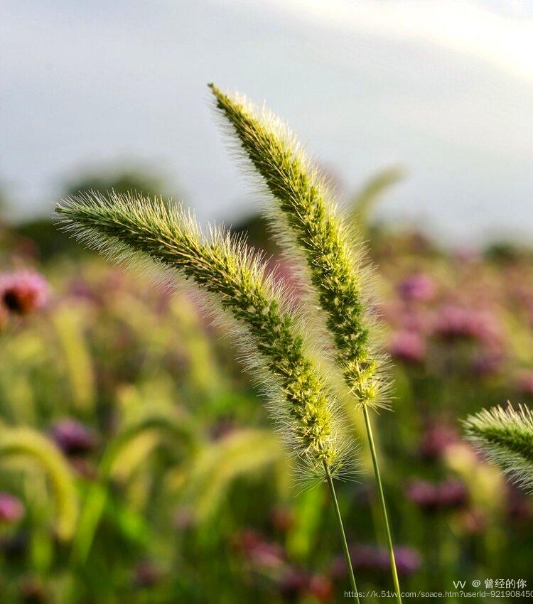 曾经的你
