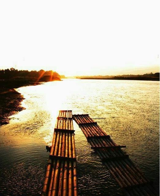 幽兰一箭香(赵放岚)