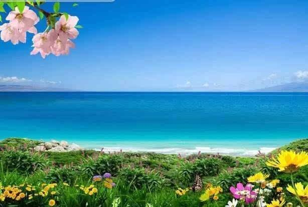 面朝大海春暖花开