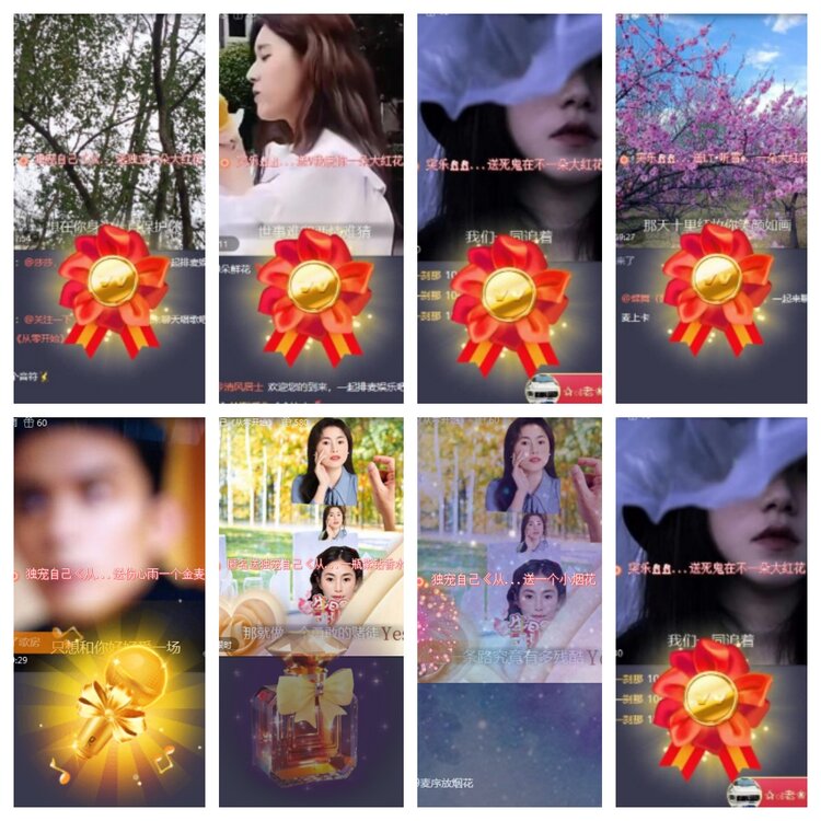 海燕🎤V娱热点