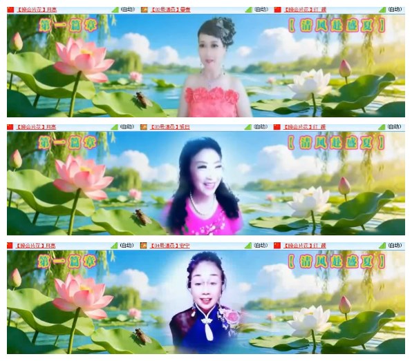 淡然🎤V娱热点