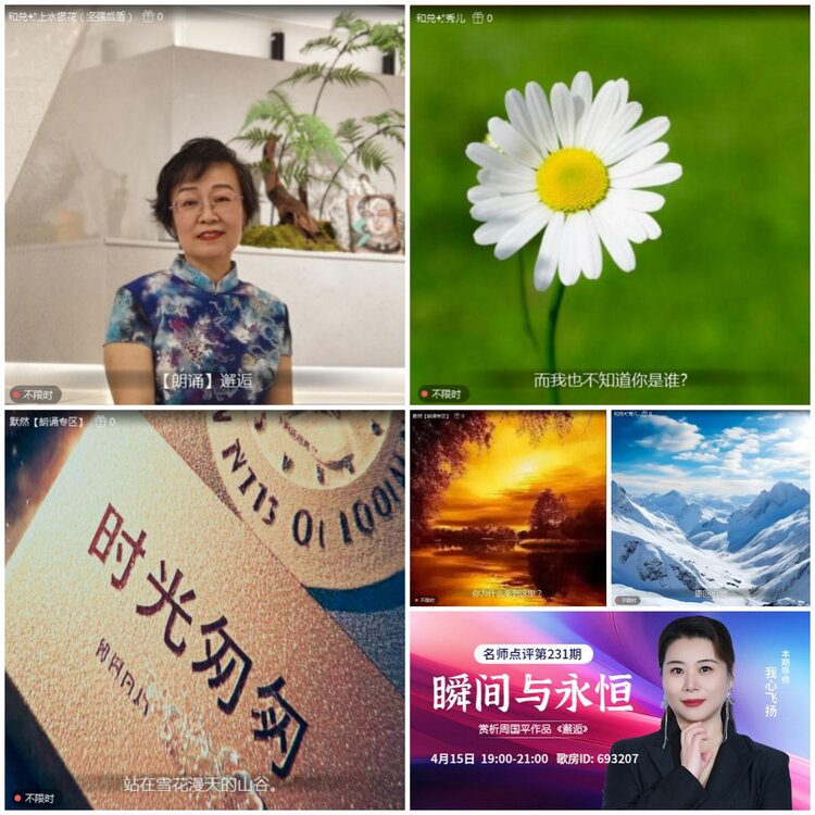 无言🎤V娱热点