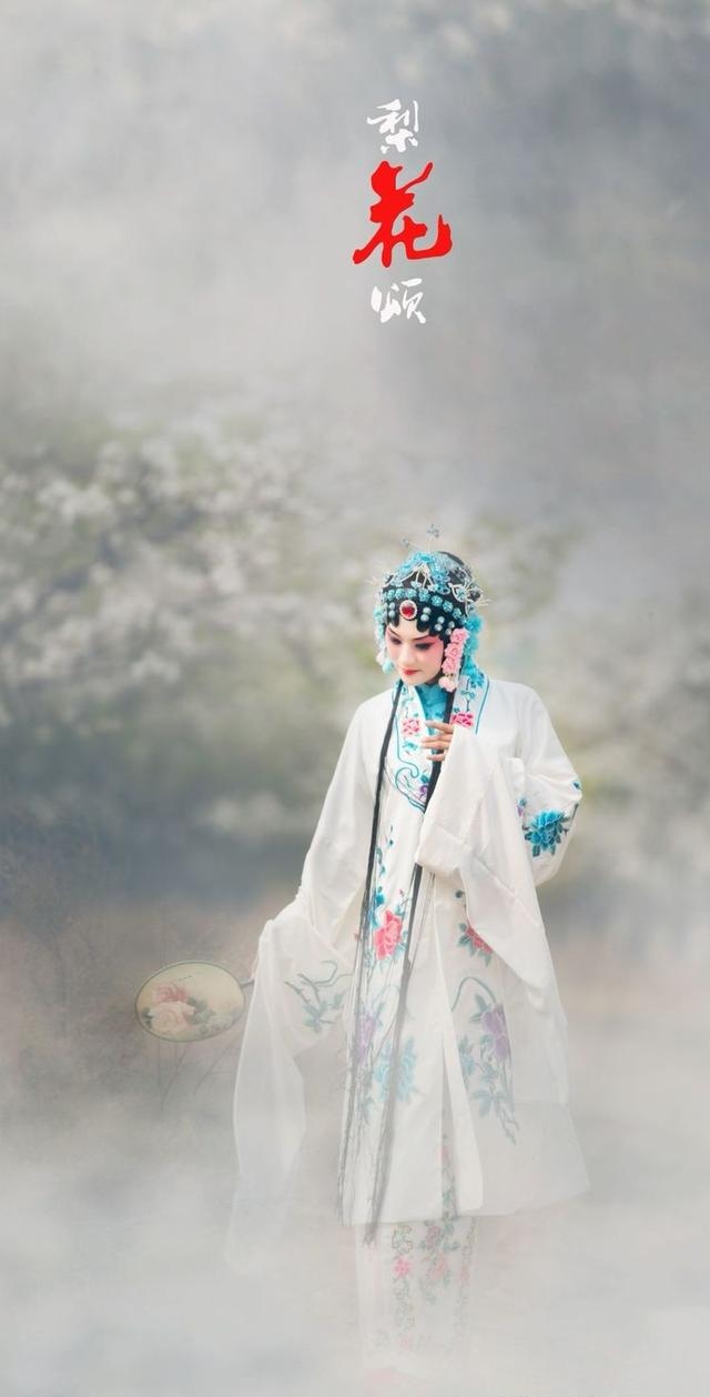 梨花颂