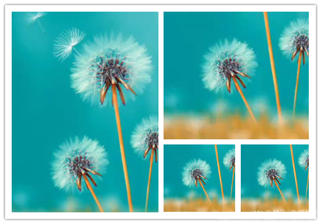 纳兰＿🎤V娱热点