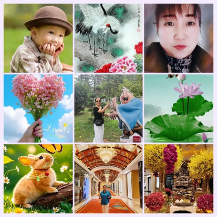 航航🎤V娱热点