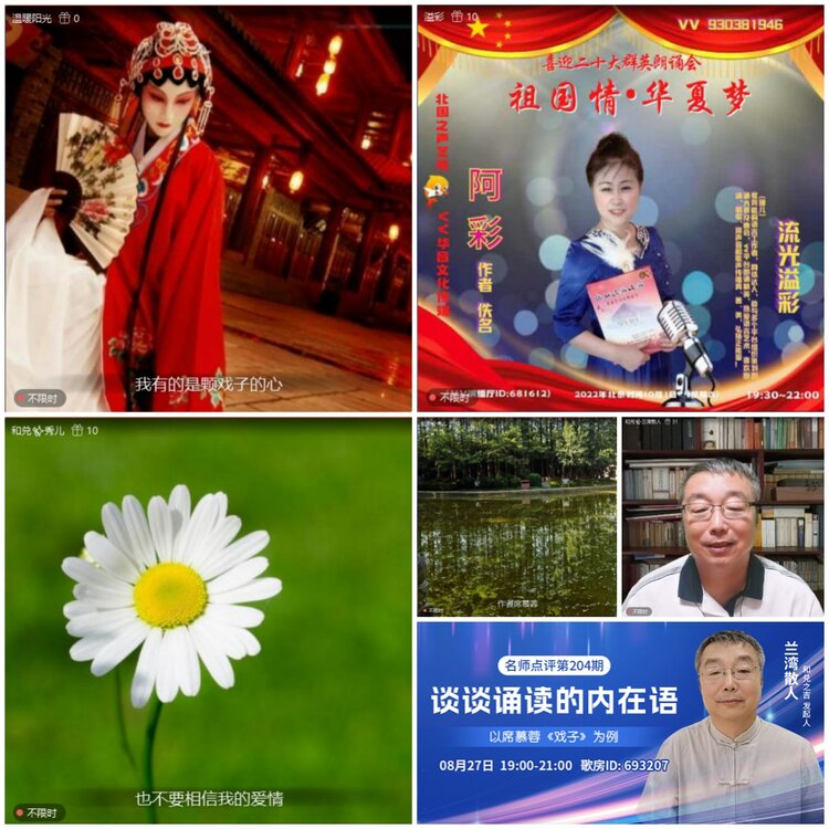 无言🎤V娱热点