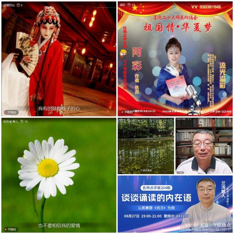 无言🎤V娱热点