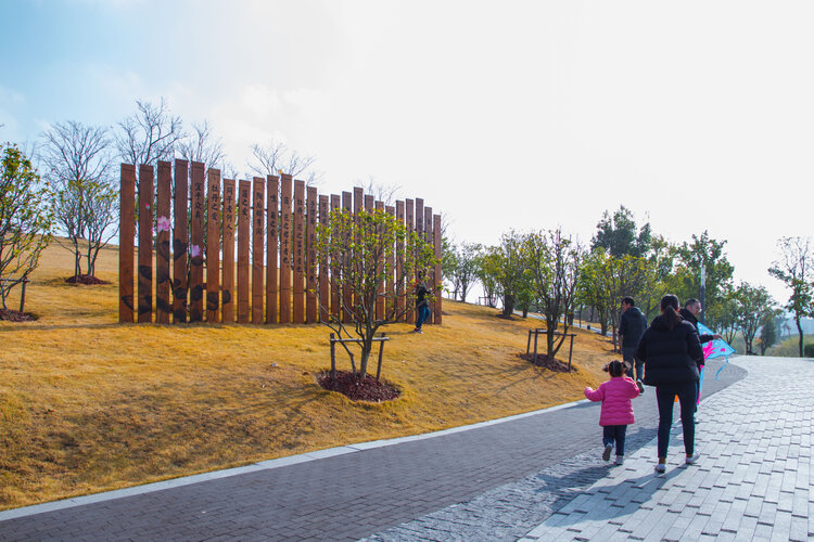 行行摄摄之22桃浦中央绿地