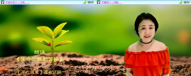 无言🎤V娱热点