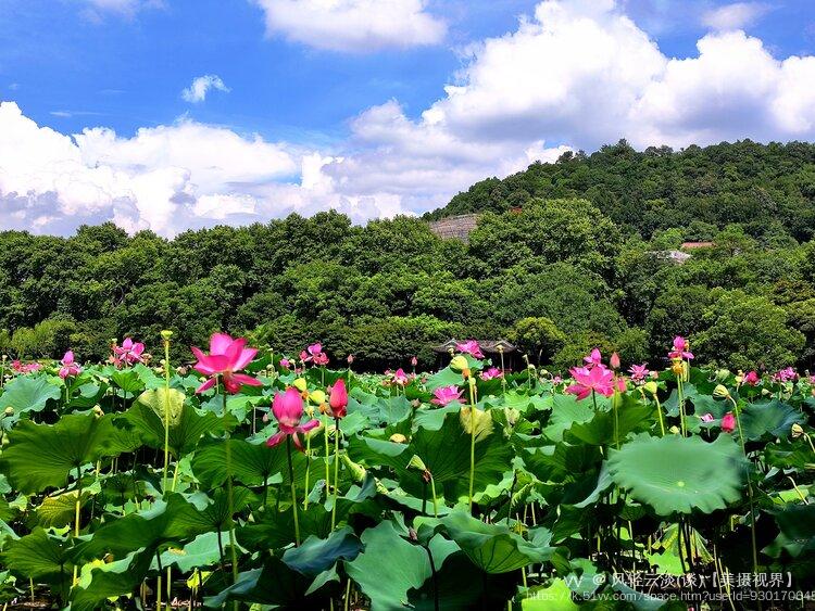 风轻云淡(谈)【美摄视界】