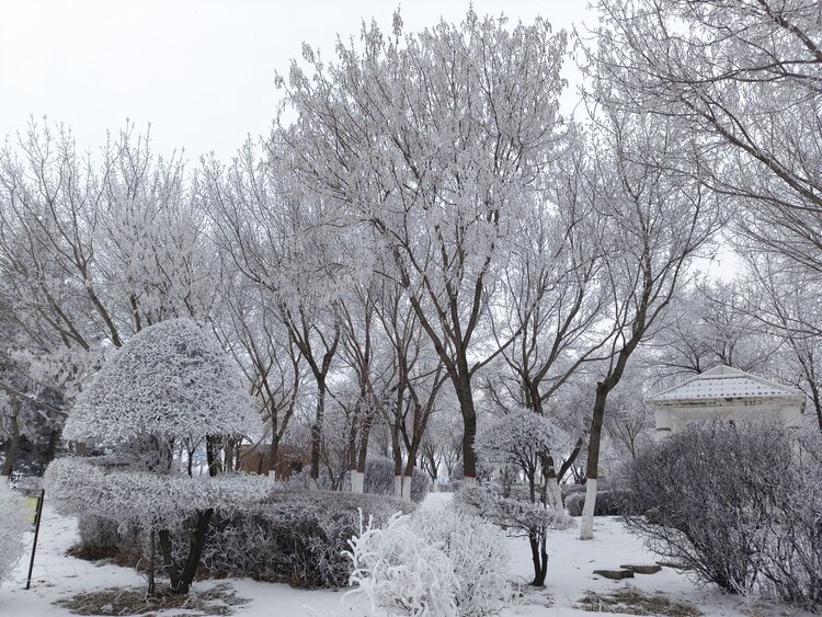 雪儿🎤V娱热点