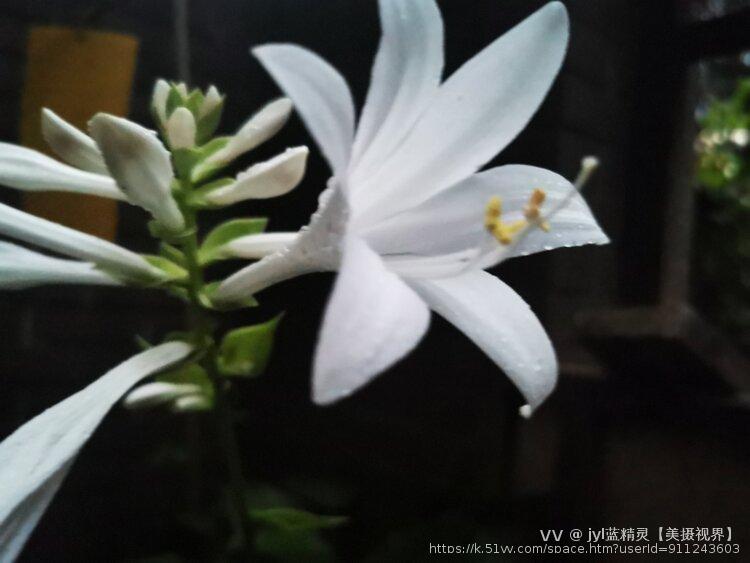 jyl蓝精灵【美摄视界】