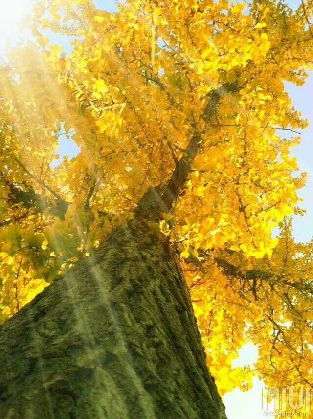 笔墨为题