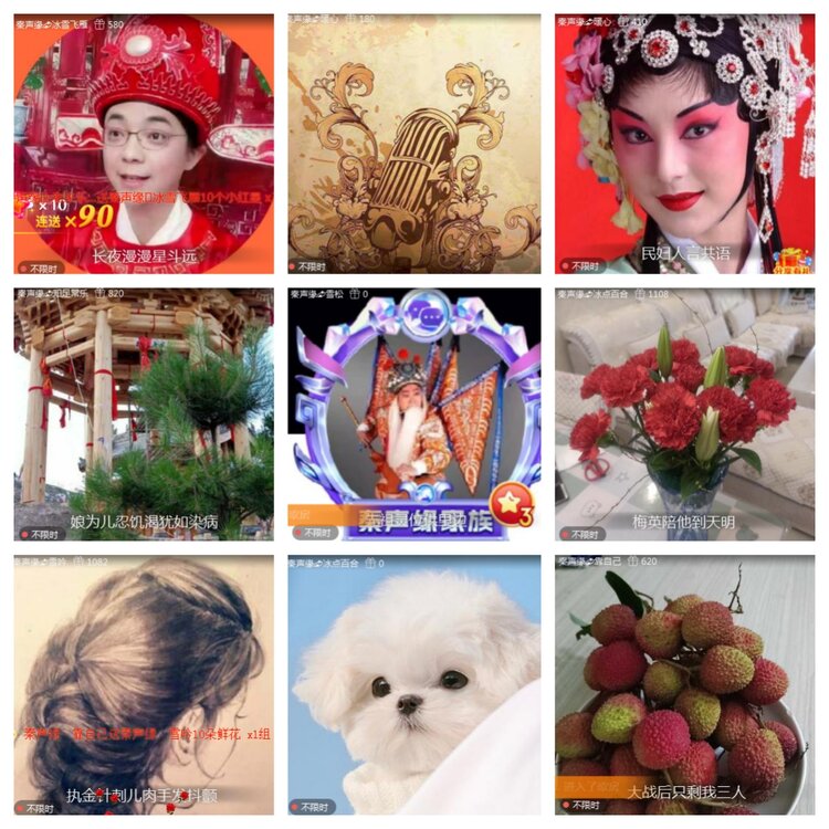 海燕🎤V娱热点