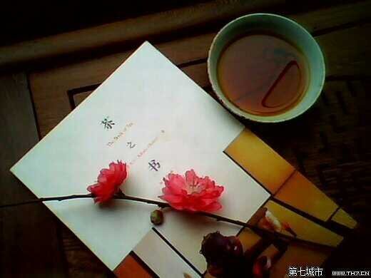 雁南飞