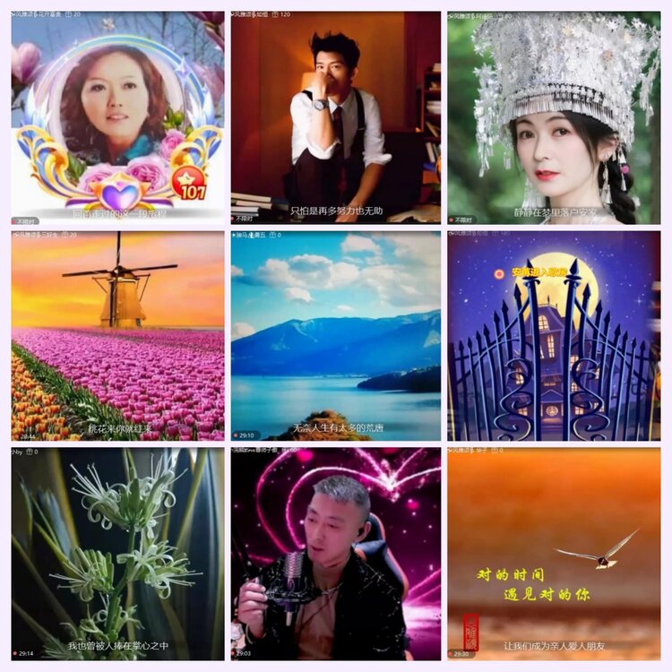 航航🎤V娱热点