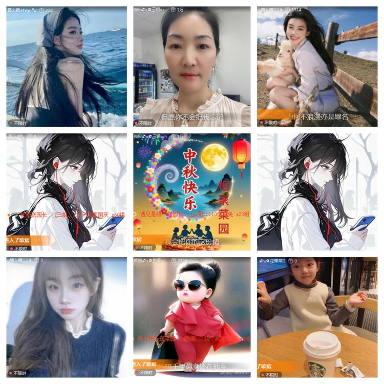 海燕🎤V娱热点