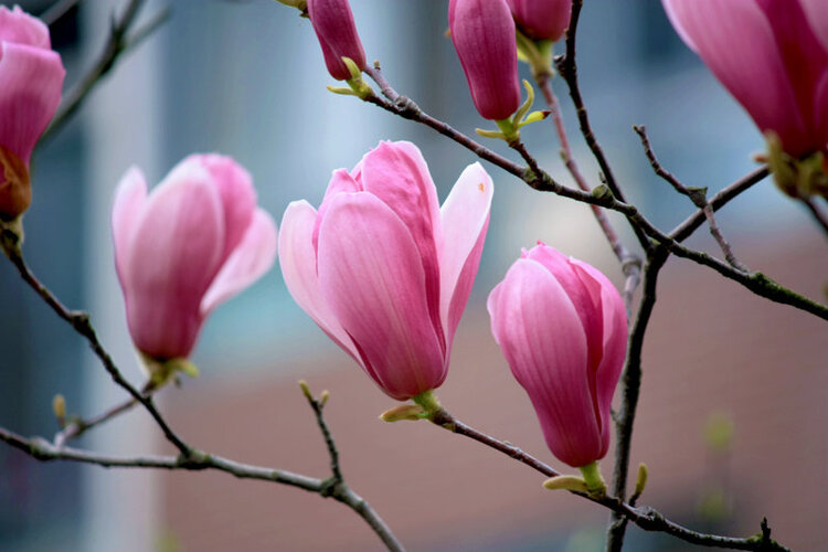 小浅🎤V娱热点