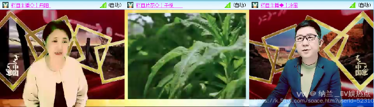 纳兰＿🎤V娱热点