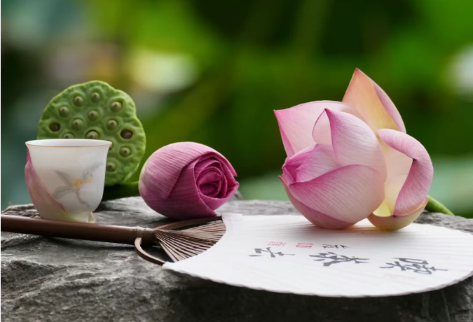 小浅🎤V娱热点