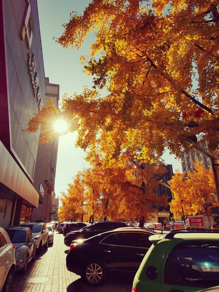 克城【文声汇影】