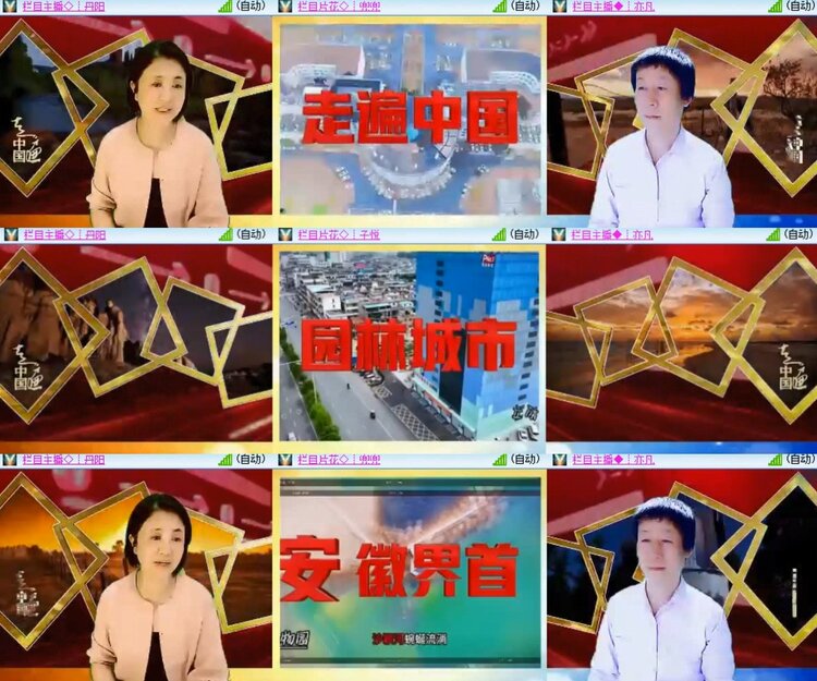 心玫🎤V娱热点