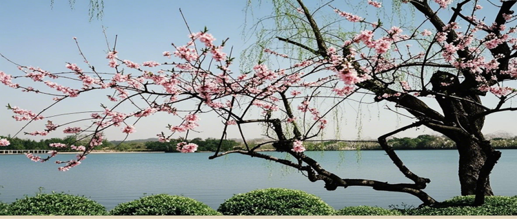 曾经🎤V娱热点