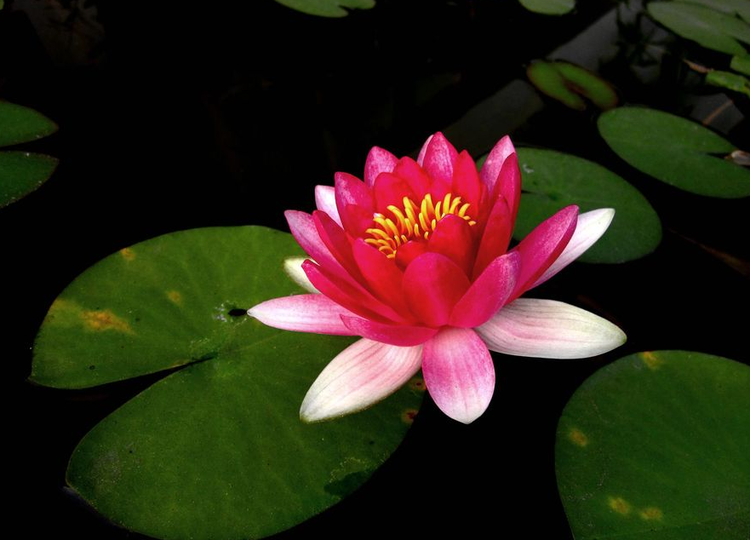 曾经🎤V娱热点