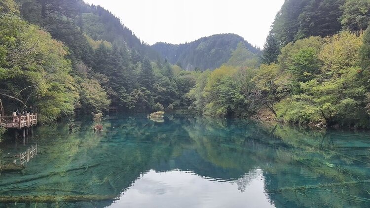 雪儿🎤V娱热点