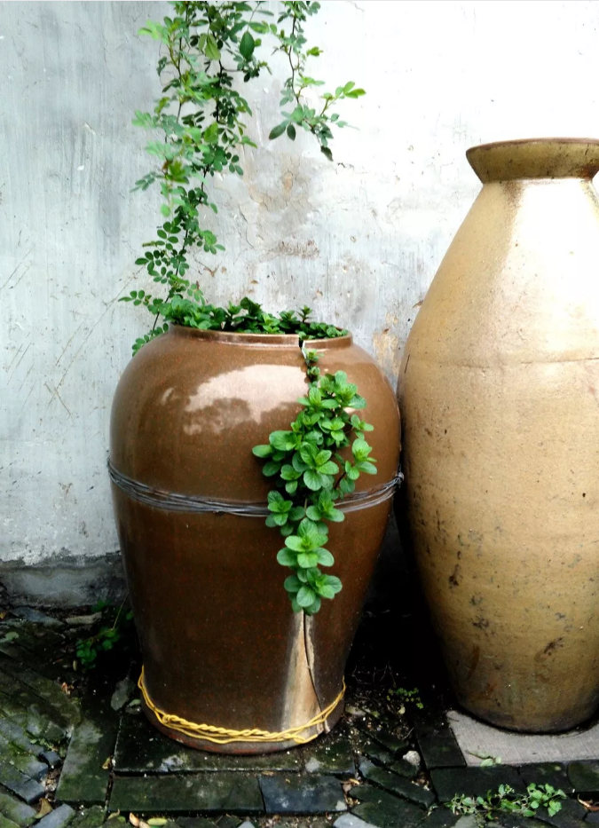 如花（张英华）