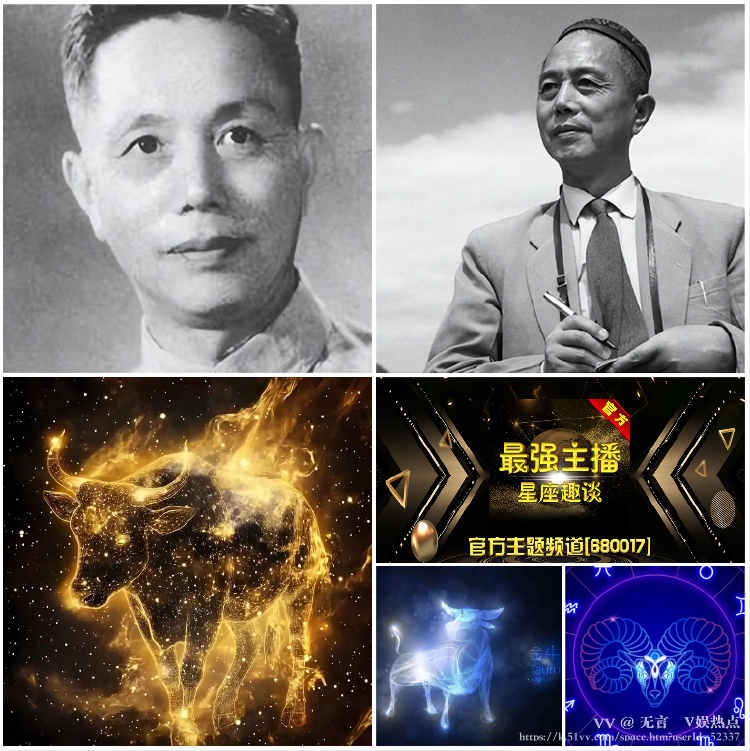 无言🎤V娱热点