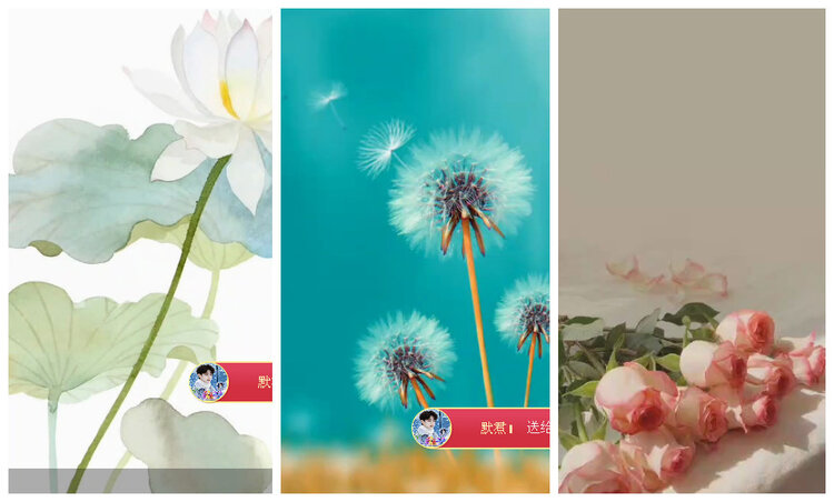 沛滢🎤V娱热点