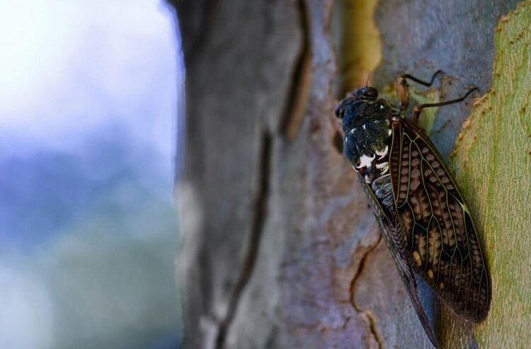 曾经🎤V娱热点