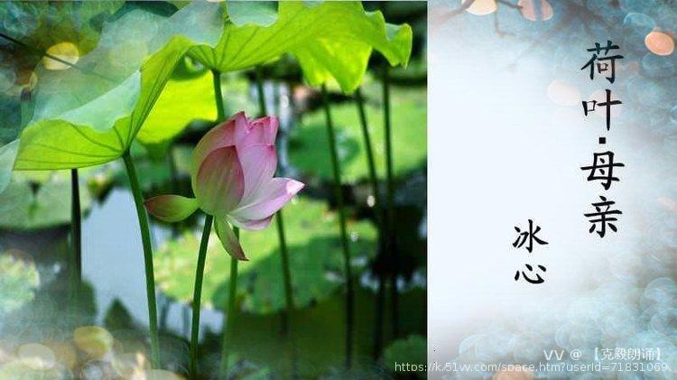【克毅朗诵】