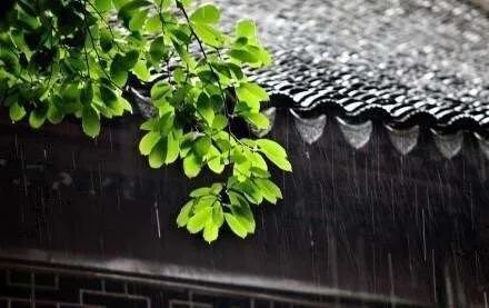 雨夏思友七律诗二首