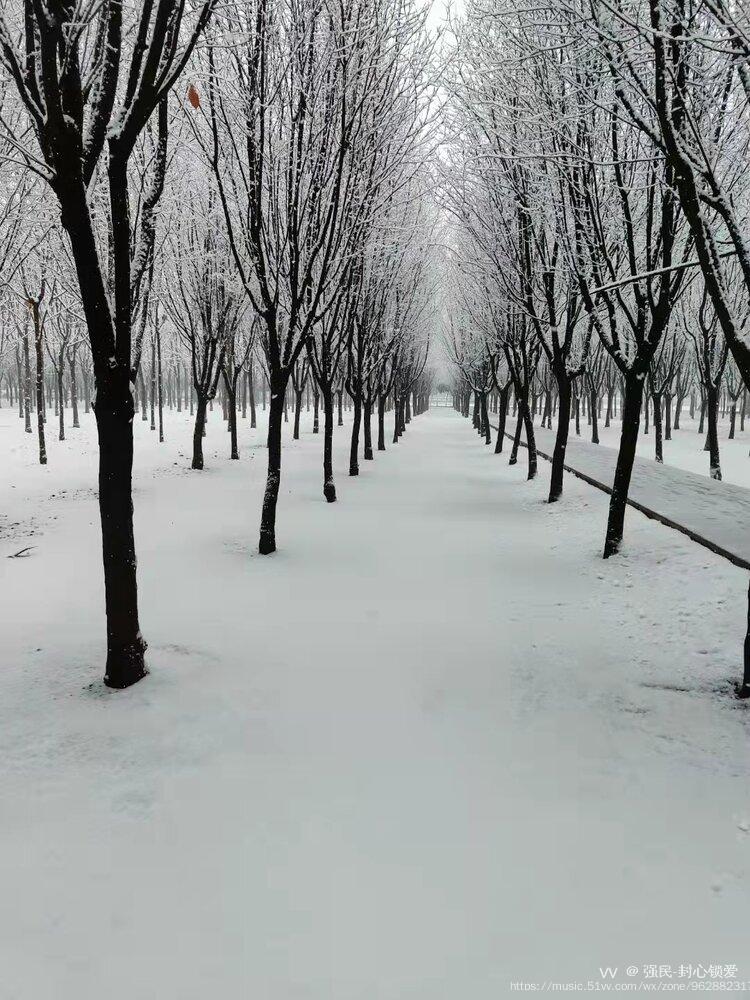 你哪里下雪了吗