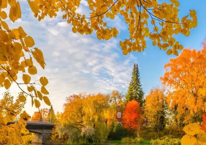 雪儿🎤V娱热点