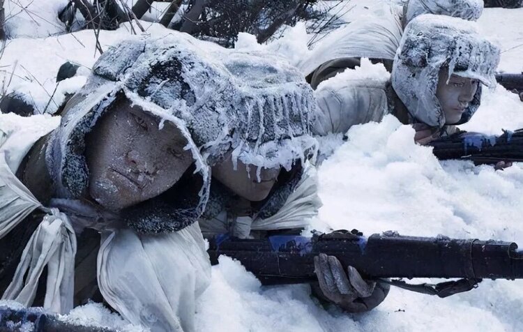 枫叶下的玫瑰【文声汇影】